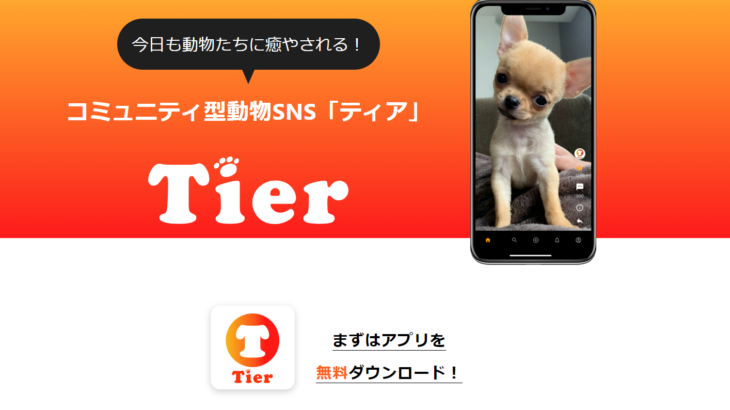動物SNSアプリ「Tier」とは？投げ銭機能がついた動物専門配信サービスについて調査しました！